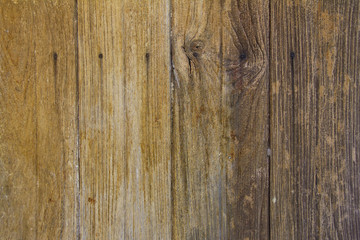 wood