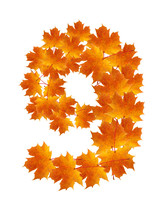 Autumn Leaves Number