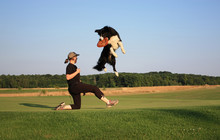 Funny Catching Dog Frisbee