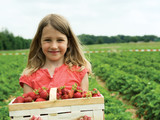 Fototapeta Lawenda - Girl with basket strawberry