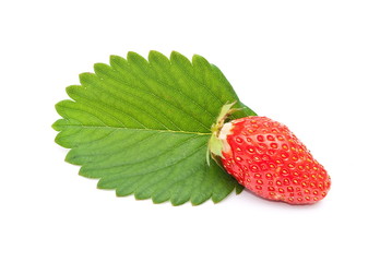 Wall Mural - Fresh strawberry fruit  with green leaves