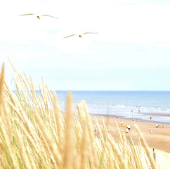 abstract beach scene