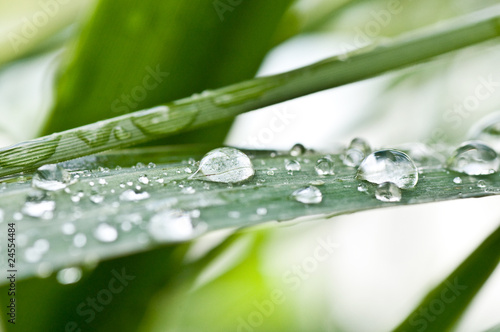 Fototapeta do kuchni gouttes de pluie