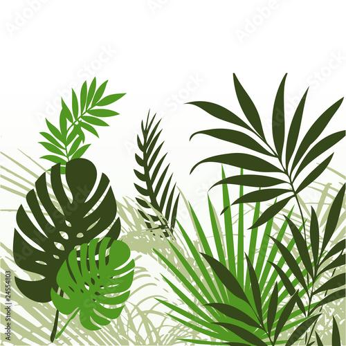 Naklejka dekoracyjna Tropical Leaves 01