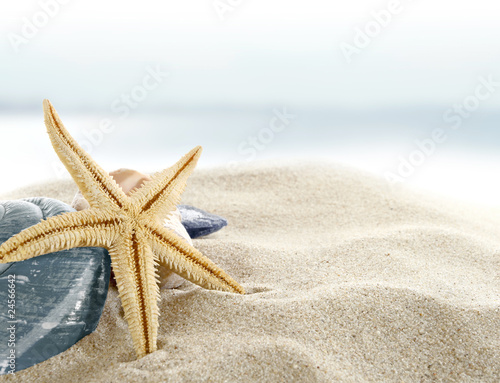 Tapeta ścienna Rozgwiazda na plaży