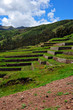 Tarase in Urubamba Valley in Cuzco