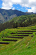 Tarase in secred Valley in Cuzco