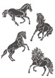 Кони / Horses