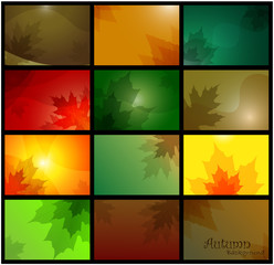 Wall Mural - Autumn backgrounds