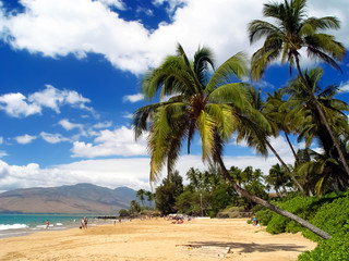 Wall Mural - Hawaii