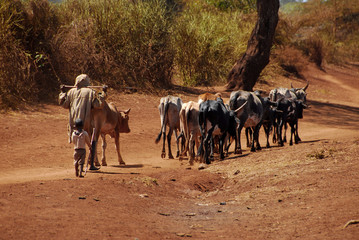 africa