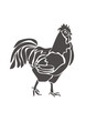 Петух / Rooster