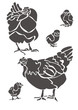 Куры и цыплята / Hens and Chickens