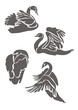 Лебеди / Swans