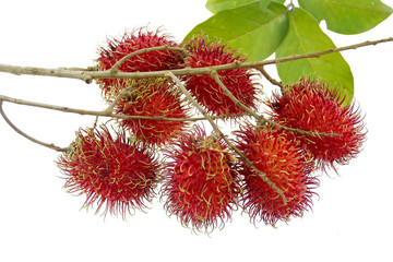 a bunch of rambutan