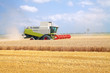 © Dzmitry Halavach - Combine for harvesting wheat