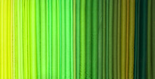 Green Hue Rolls Of Cloth