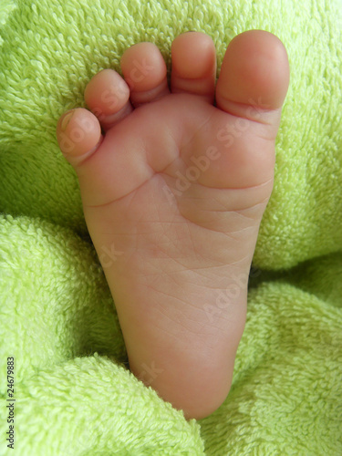 Petit Pied De Bebe Stock Photo Adobe Stock