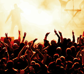 Cheering crowd at concert