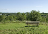 Fototapeta Konie - empty bench on a hill