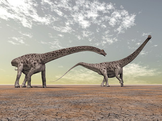 Wall Mural - Diplodocus