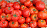 Fototapeta Kuchnia - Tomatoes in a basket.