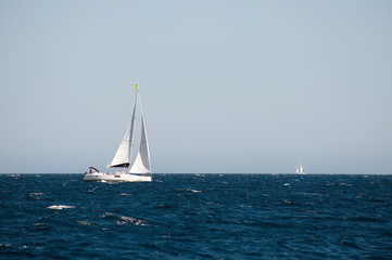 Wall Mural - yacht sailing on the sea with clear blue sky