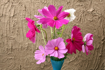 Wall Mural - cosmos
