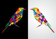 © Akhilesh Sharma - Colorful abstract artistic bird vector illustration
