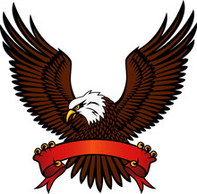 Hawk With Emblem