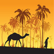 Camel on Sahara desert