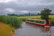 A typical barge sailing on a traditional British canal with reeds