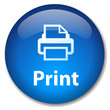 PRINT Web Button (printer printout now document ready go vector)