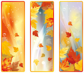 Set autumn banners, vector