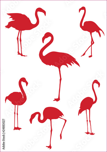 Fotoboard na płycie Flamingo 6 / flamingo 6