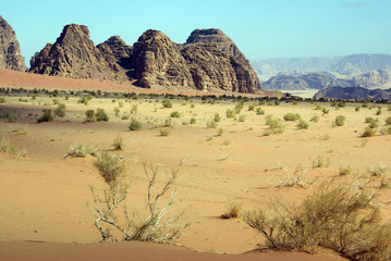 Poster - Wadi Rum