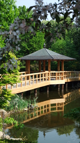 Naklejka dekoracyjna Japanese garden