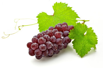 Wall Mural - grape