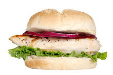 Isolated Grilled Chicken Sandwich