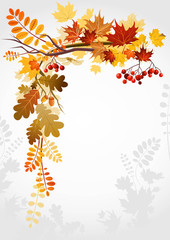 Wall Mural - autumn frame