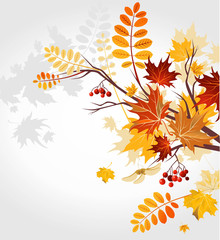 Wall Mural - autumn background