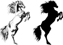 Two Rear Horses: Monochrome Illustration And Silhouette