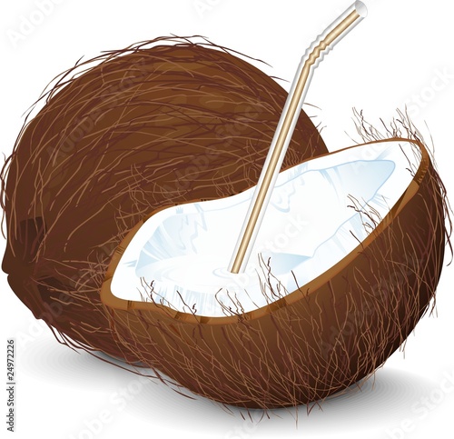 Noce di Cocco Bibita-Fresh Coconut Drink-Vector