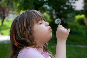 Canvas Print - summer blow-ball