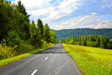 Wall Mural - Mountain road