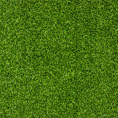 Artificial Grass Field Top View Texture