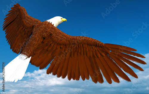 Obraz na płótnie canvas American bald eagle tyłek