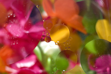 Colorful background.