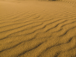  Gobi Desert