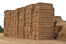 Square Hay Bales Stacked Up